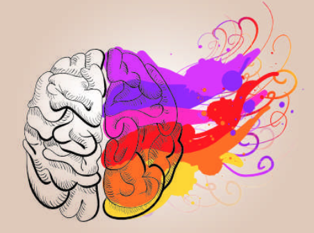 brain with creative colors